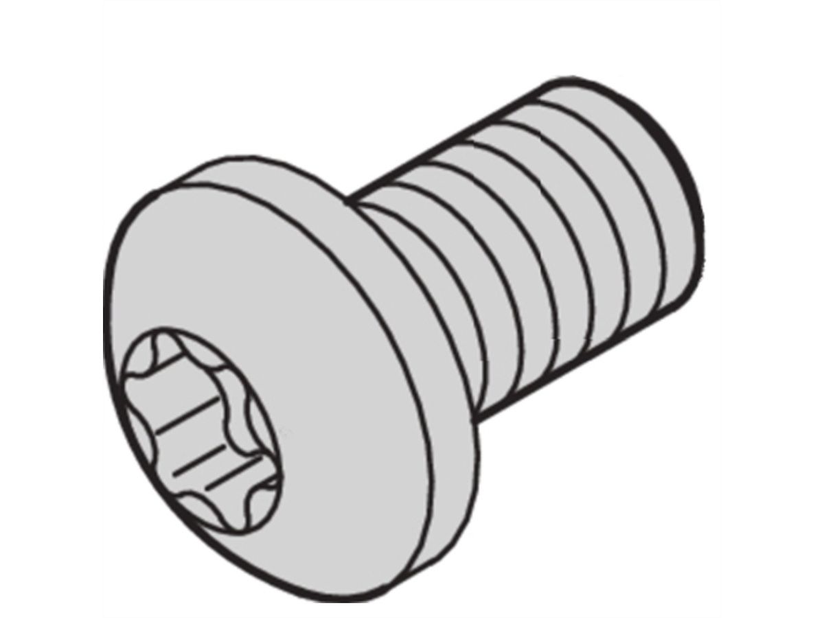 SCHROFF Kruiskopschroef, Torx, GND-functie, staal verzinkt, M4 × 6 mm, 100 stuks