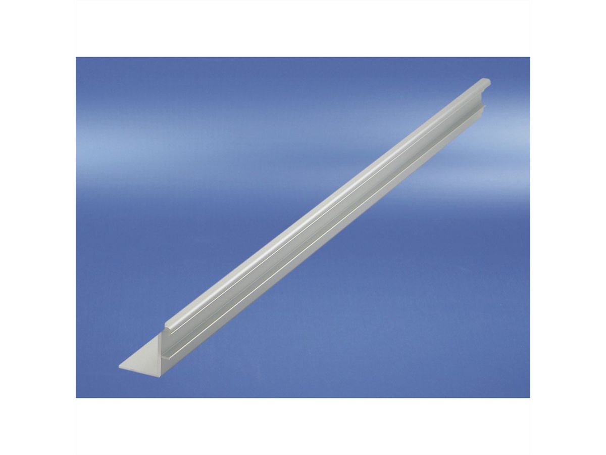 SCHROFF Comptec Geleiderail voor 19" Kast, 600 mm