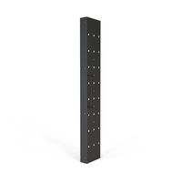 SCHROFF Varistar 19" Swing Cabinet Frame Trim, 29 U Asymmetrical Assembly
