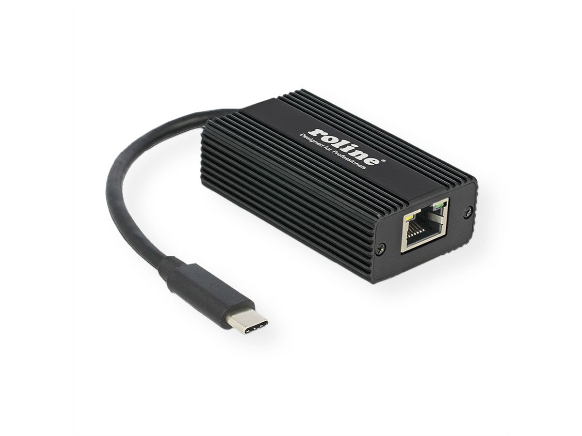 ROLINE USB 3.2 Gen 2 to 2.5 Gigabit Ethernet Converter