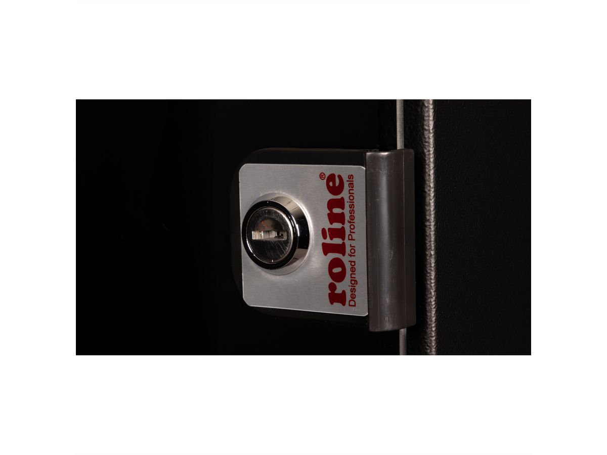 ROLINE 10-inch wandbehuizing 12 U, 312x300 BxD zwart