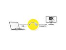 ROLINE Display Adapter USB Typ C - DP, ST/BU, 8K60, 0,13 m