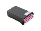 VALUE MPO Module, MPO-Male /12x LC - Female