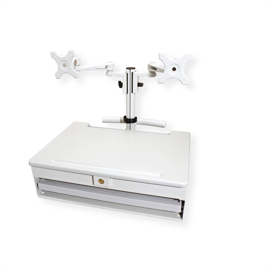 ROLINE LCD TV + PC Mobile Computing Workstation