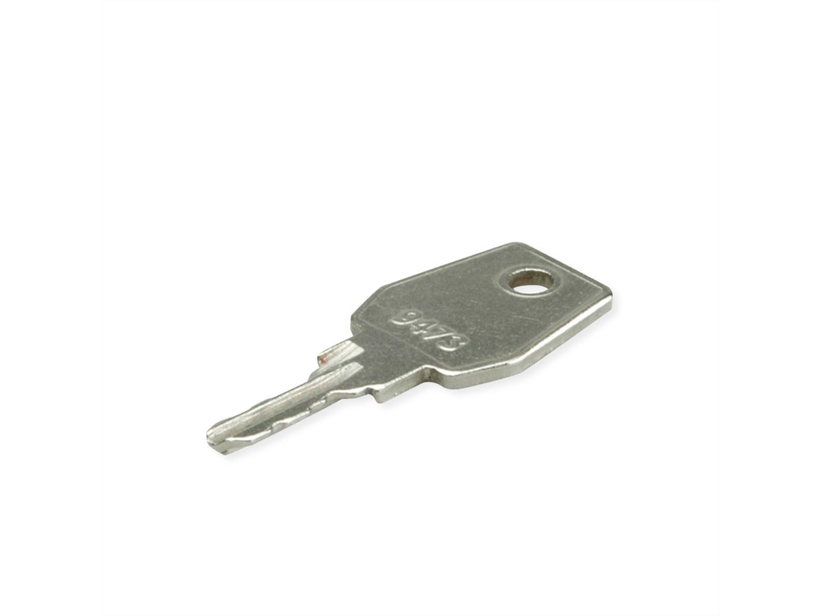 ROLINE-standaardsleutel/reservesleutel, voor ROLINE Basic & Pro wand- en kastmodellen