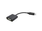 VALUE DisplayPort - DVI Adapter, DP Male - DVI Female, 0,15 m