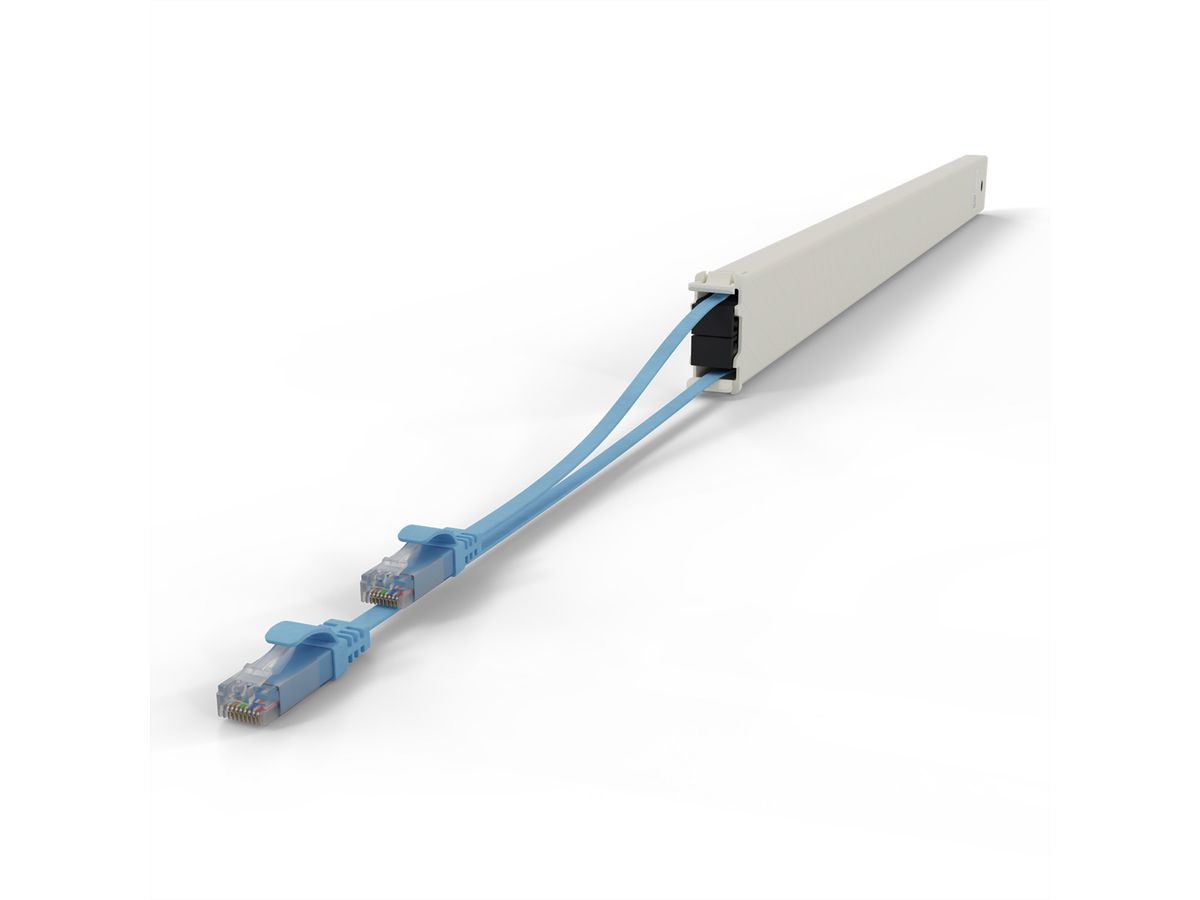 patchbox.one Kassette 46RU UTP blau Cat.6a 2,5m