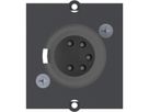 BACHMANN frame XLR 5-pin socket , Screw connection 5-pole