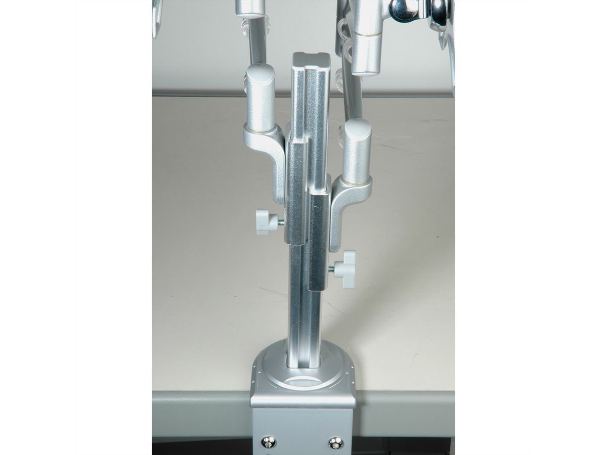 VALUE Dual LCD Monitor Arm, Desk Clamp, 4 Joints, height adjustable separately