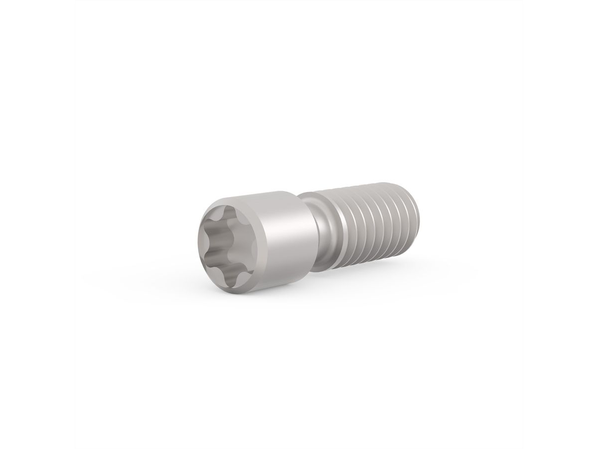 SCHROFF Grub Screw, Stainless Steel, M2.5 x 9, Torx 8