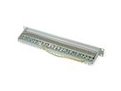 19"-Verteiler MPP24, 1 HE, Kat.6A (Class EA) (ISO/IEC), 24 Ports, RAL 7035 Lichtgrau