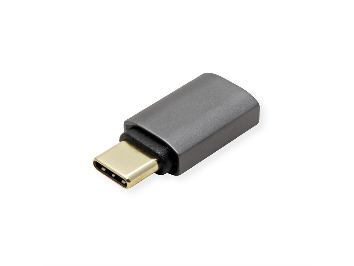 ROLINE Adapter, USB4 Gen 3x2, Aluminum, Type C, M/F, silver