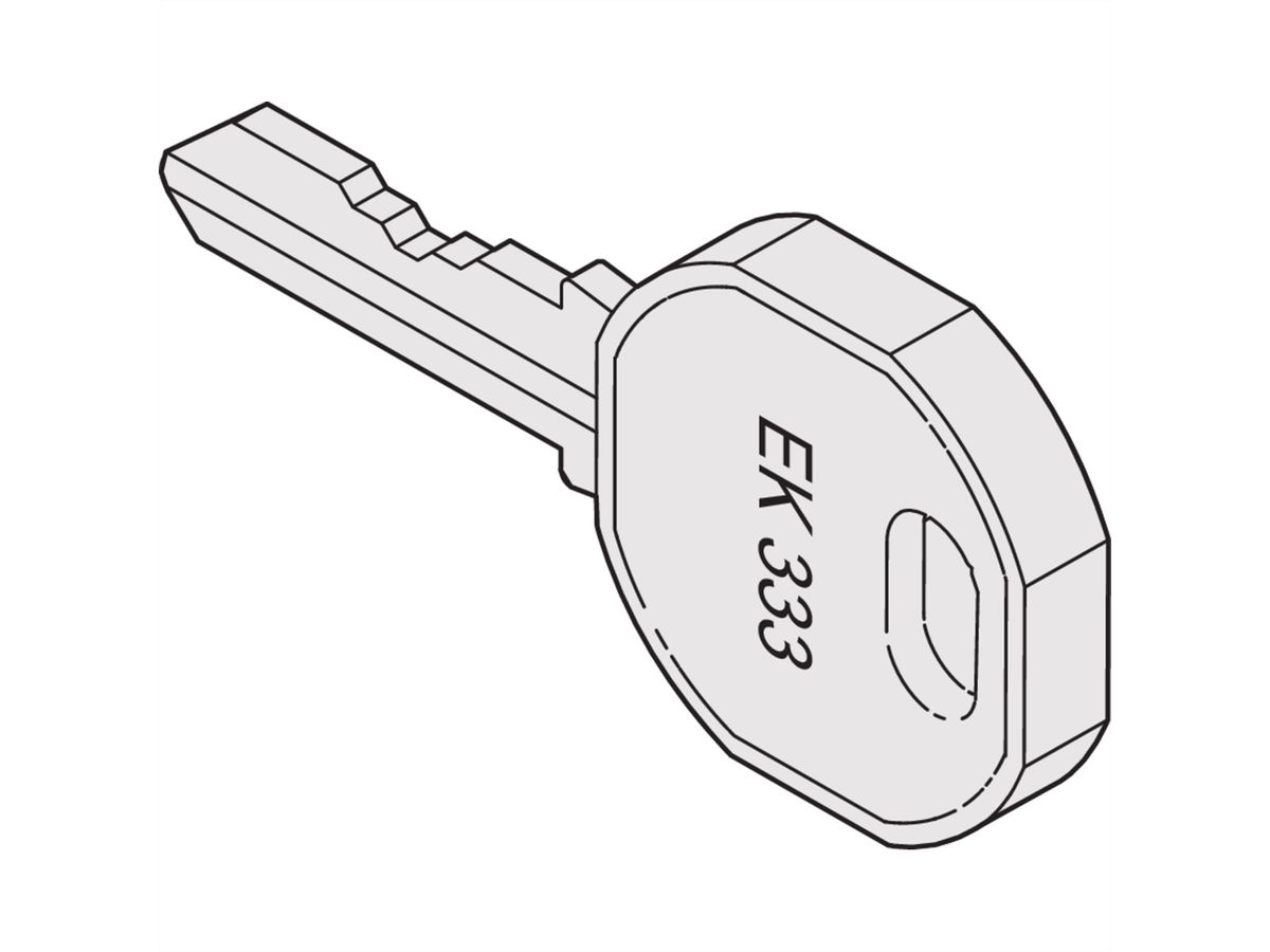 SCHROFF Varistar 19" Swing Frame Spare Part Key 333