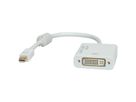 ROLINE 4K Mini DisplayPort-DVI Adapter, Mini DP M - DVI F