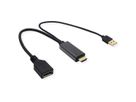 VALUE 4K HDMI - DisplayPort Adapter, v1.2, HDMI Male - DP Female