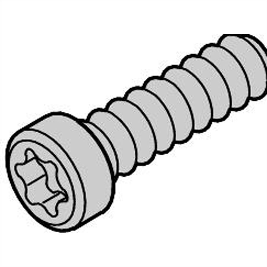 SCHROFF Kruiskopschroef, Torx, zelfvormend, staal verzinkt, M2,5 x 10