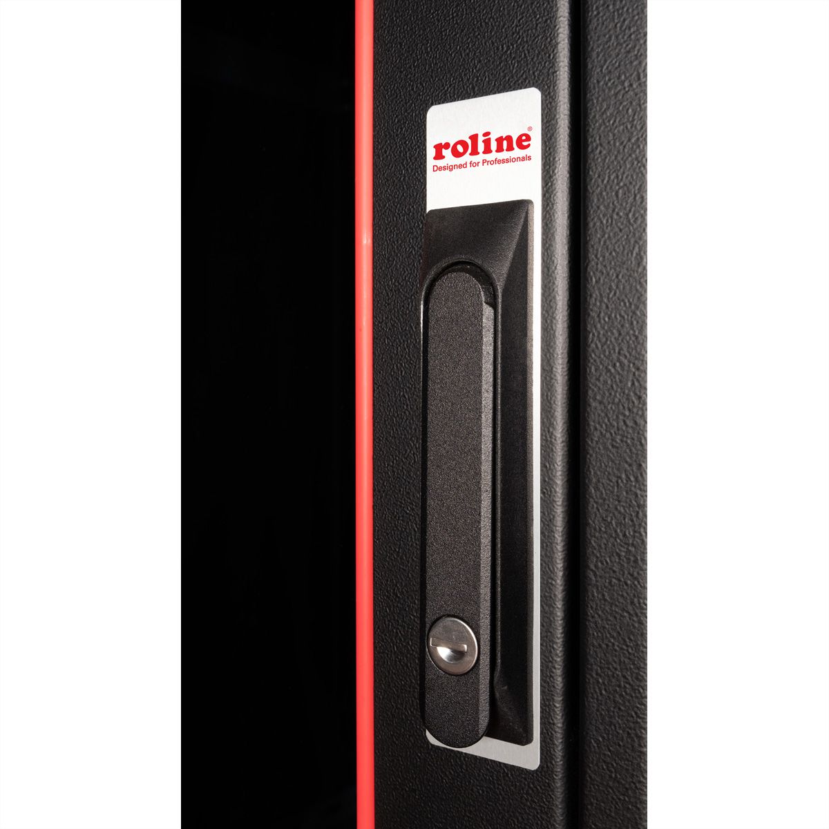 ROLINE 19-inch netwerkkast Pro 32 U , 800x800 BxD Glazen deur zwart