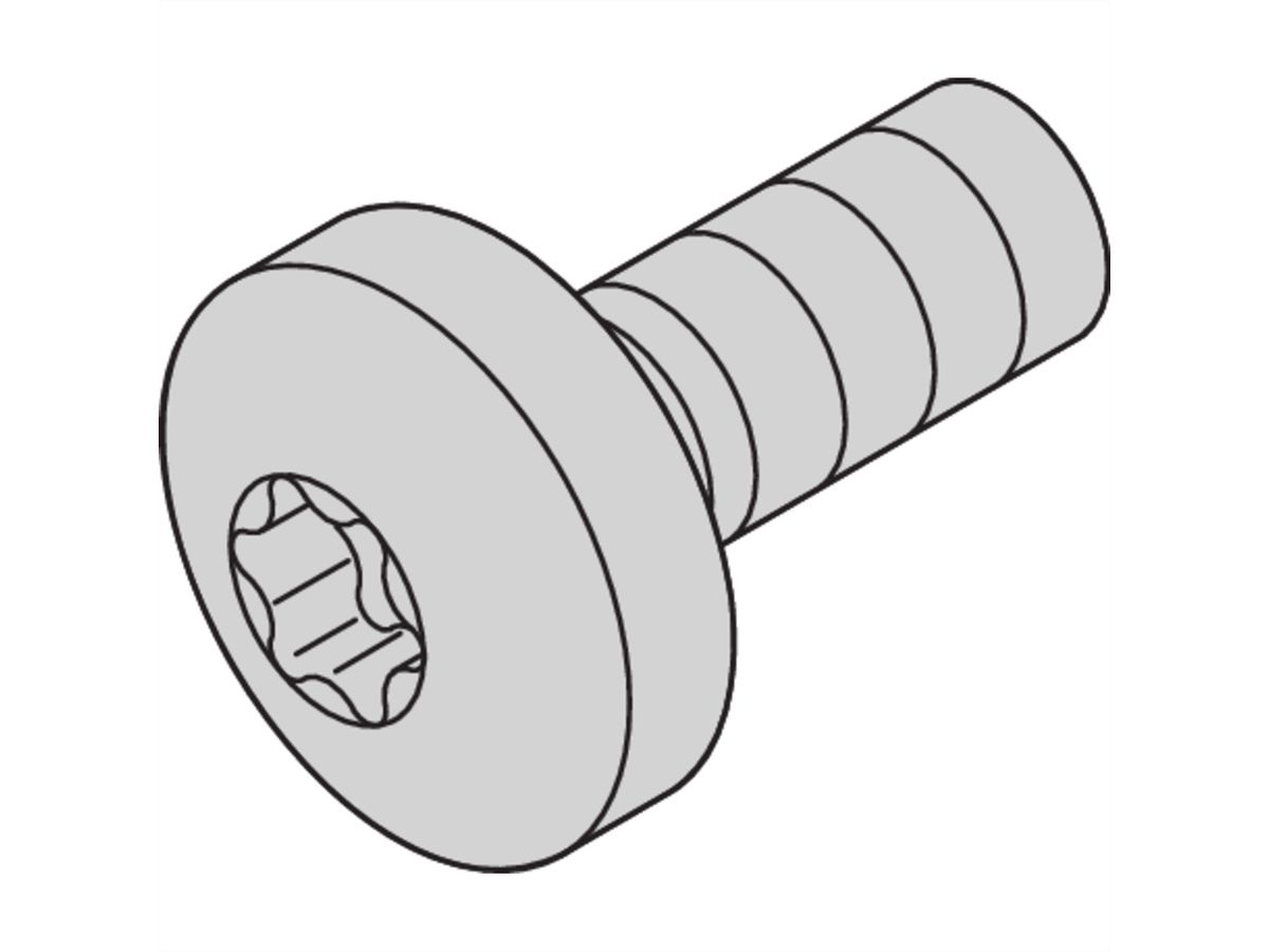 SCHROFF Assembly Parts for Rugged Components, Panhead Screw with Thread-locking Compound, Torx, M4 x 10