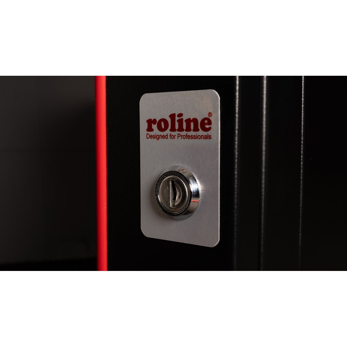 ROLINE 19-inch wall-mounted housing Pro 16 U, 600x600 WxD two-piece swivelling black
