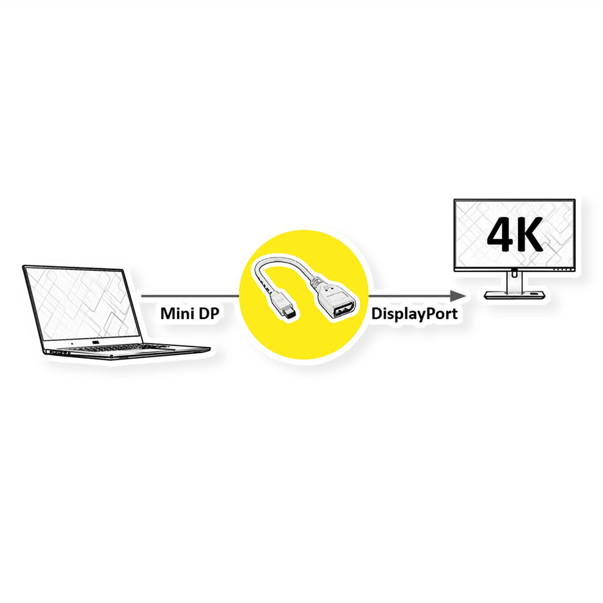 ROLINE DisplayPort Adapter, DP F - Mini DP M