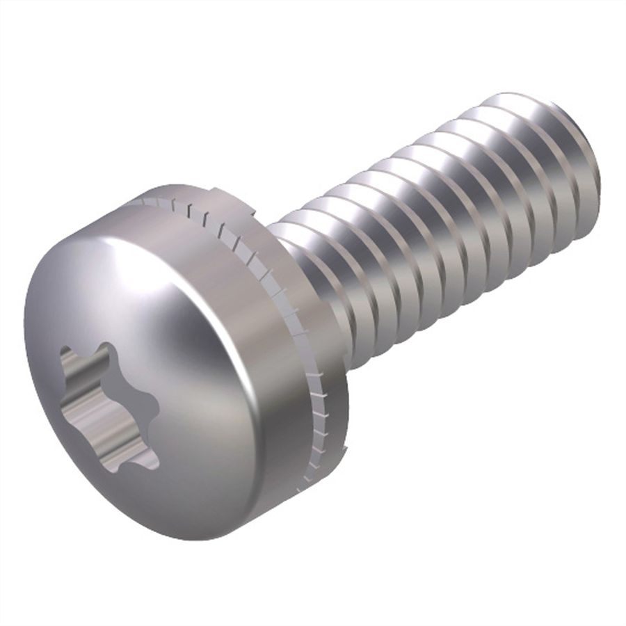 SCHROFF 19" Assembly Kit, T30 Screw With Captive Nomel Washer, M6x16, Washer, Cage Nut, M6, 100 Pieces