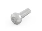 SCHROFF Panhead Screw, Torx, M4 x 14, 100 Pieces