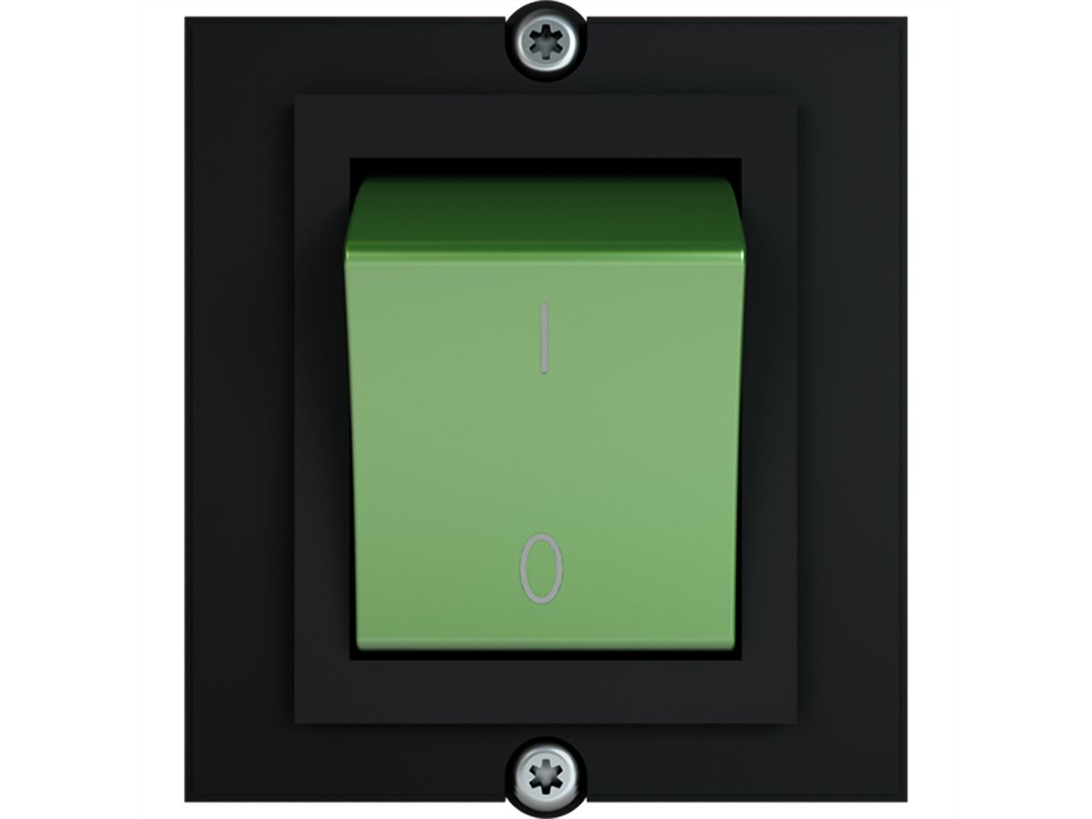 BACHMANN frame 1xswitch 2-pole green, Current 1.0m AEH