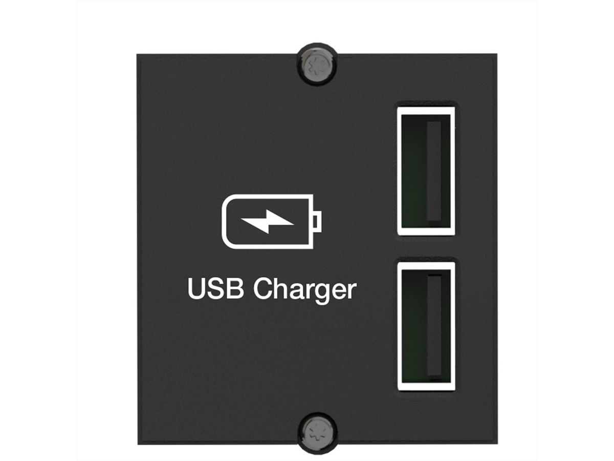 BACHMANN Custom Module USB Double Charger, black, 0.2 m