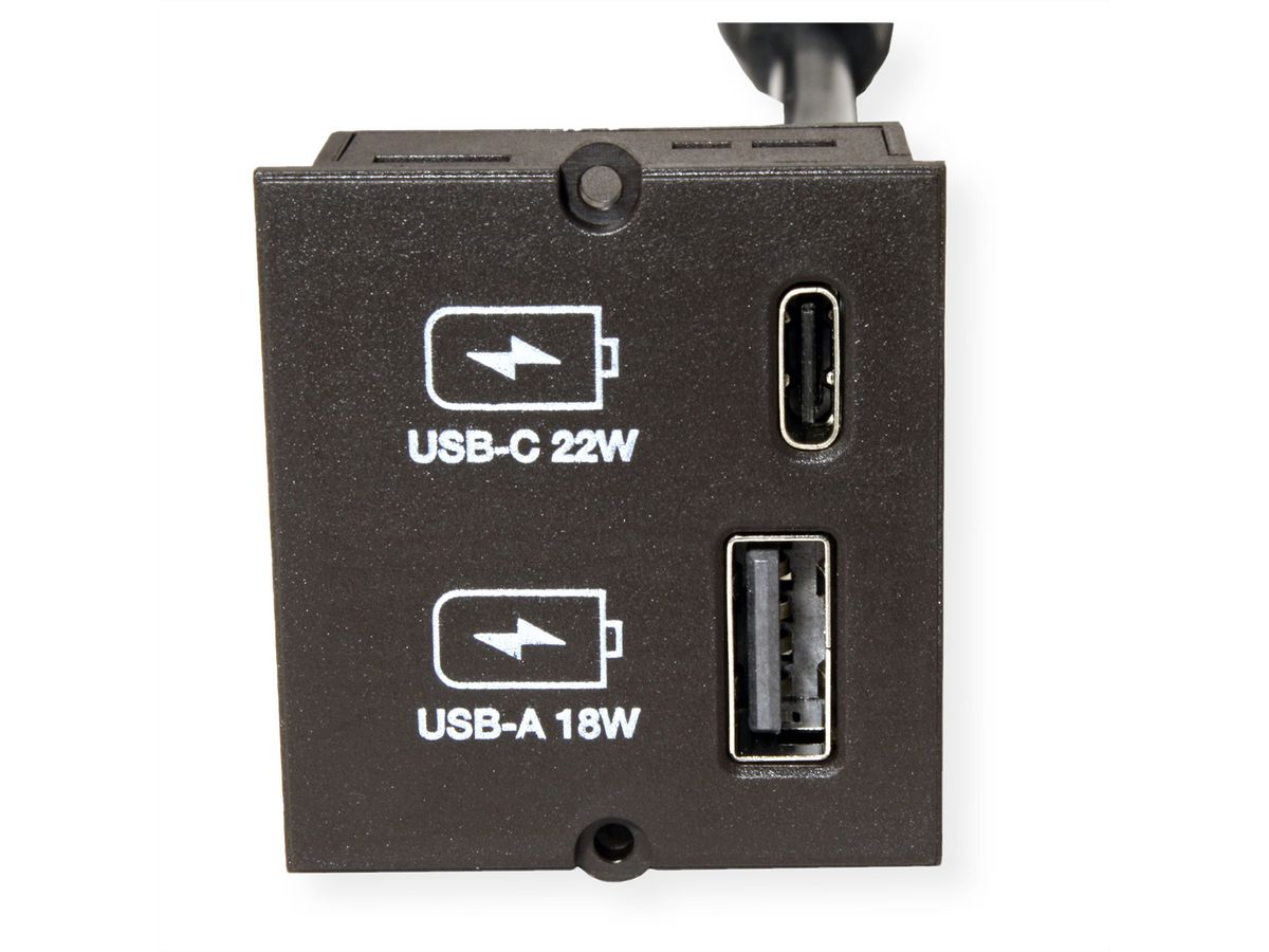 BACHMANN Custom Module USB Charger Module Type A & Type C 22W, Quickcharge, black