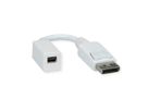 ROLINE DisplayPort adapter, DP male - Mini DP female