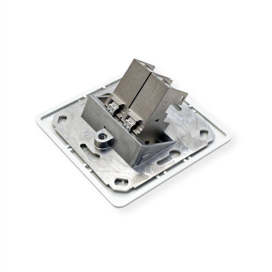 BTR Dozen InbouwP/2 reinweiss E-DAT Module 2 Poorts, Cat.6 (Class E)