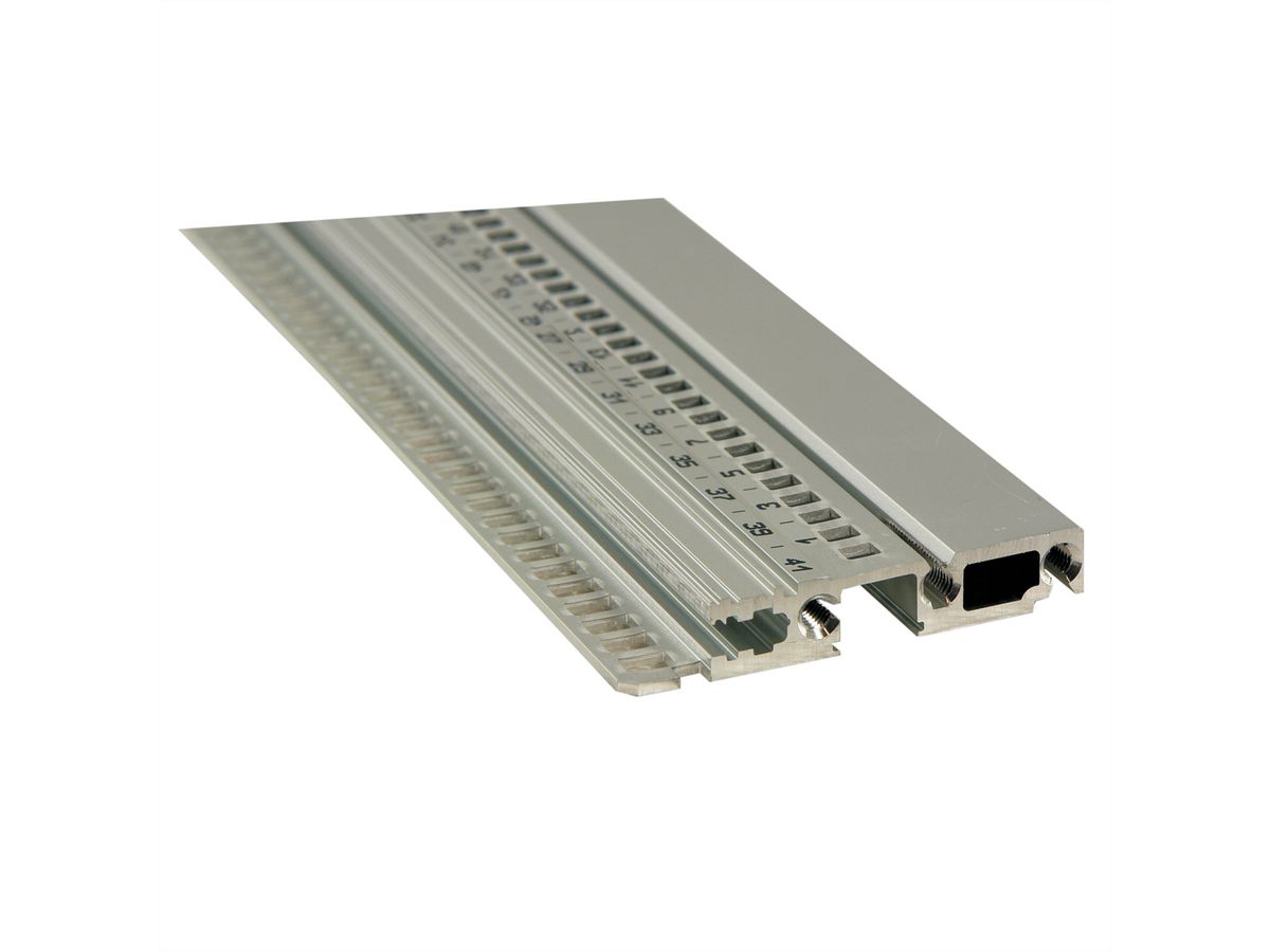 SCHROFF horizontale rail, voorzijde, type R-LD, robuust, lange lip, 1000 mm