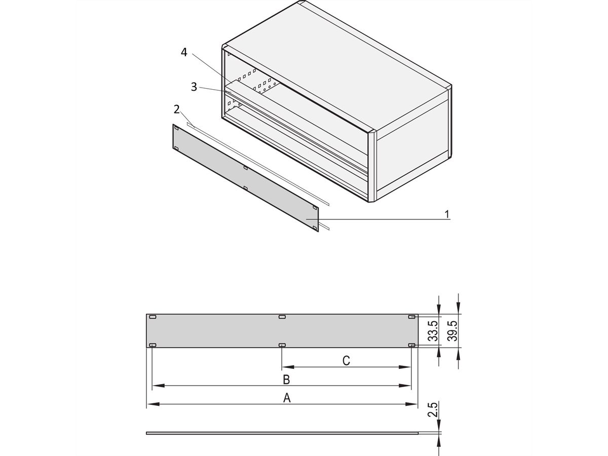 SCHROFF Frontpaneel 1 HE, 42 HE, Horizontale railmontage, 2,5 mm, Al, voor geanodiseerd, achter geleidend