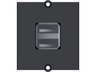 BACHMANN frame 2xUSB A screw terminal