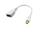 ROLINE DisplayPort Adapter, DP Female - Mini DP Male