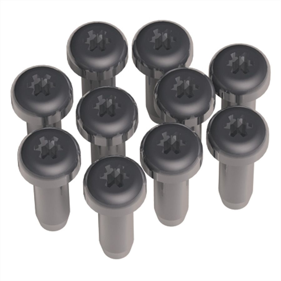 BACHMANN Torx T6 schroeven voor Custom modules     , 10 stuks