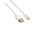 ROLINE Lightning naar USB 2.0 kabel voor iPhone, iPod, iPad, wit, 1 m