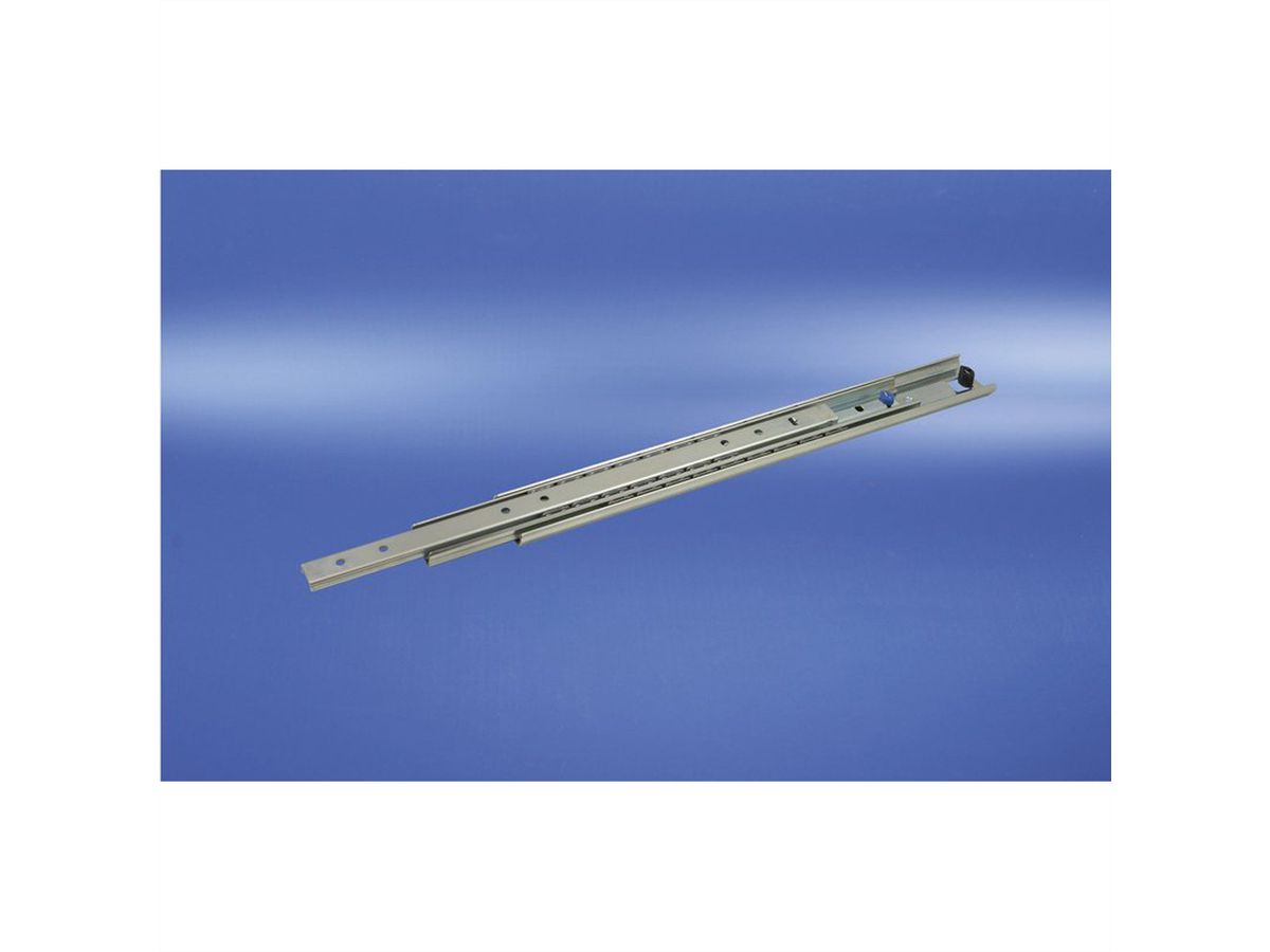 SCHROFF Telescopic Slide, Universal, Heavy Load, 2 U 600L