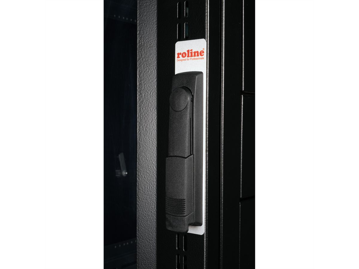 ROLINE 19-inch server rack Pro 42 U, 600x1000 BxD zwart plexiglas