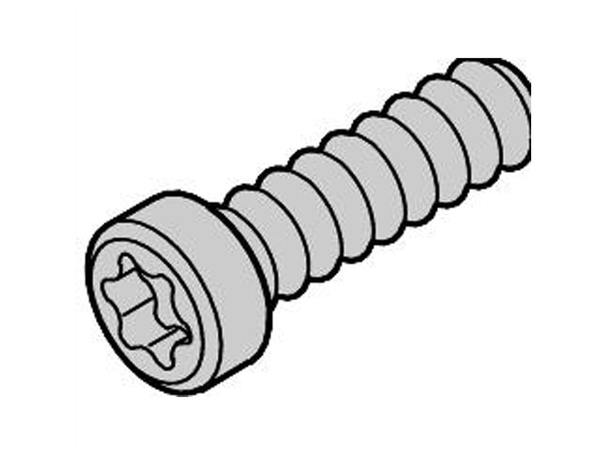 SCHROFF Kruiskopschroef, Torx, zelfvormend, staal verzinkt, M2,5 x 10