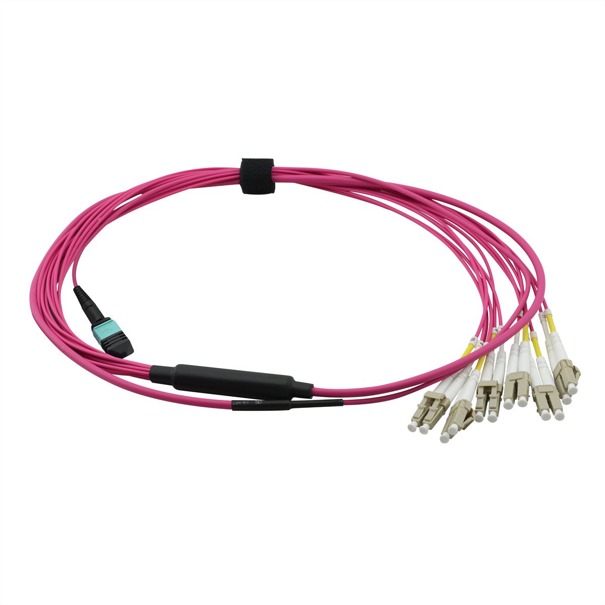 VALUE MPO Fanout Kabel 50/125µm OM4, MPO/12x LC, violet, 2 m