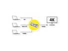 VALUE 4K HDMI / Mini DisplayPort / DisplayPort naar HDMI Switch