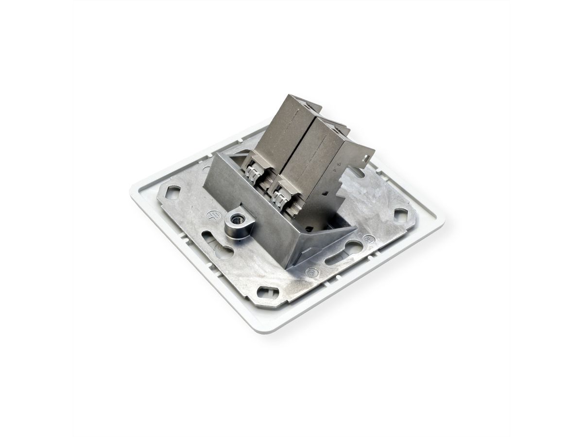 BTR Dozen InbouwP/2 reinweiss E-DAT Module 2 Poorts, Cat.6 (Class E)