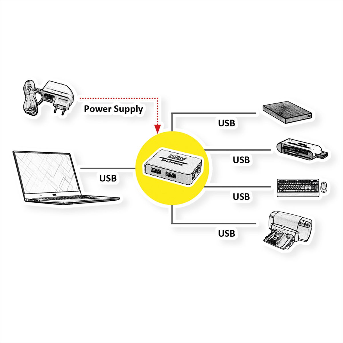 ROLINE USB 2.0 Hub, "Black and White", 4 poorts, met voeding