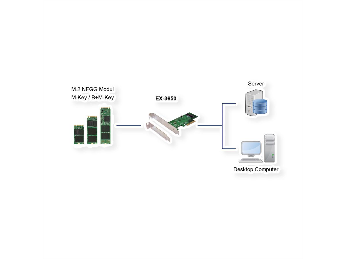 EXSYS EX-3650 PCIe Controller zu M.2 NFGG Modul