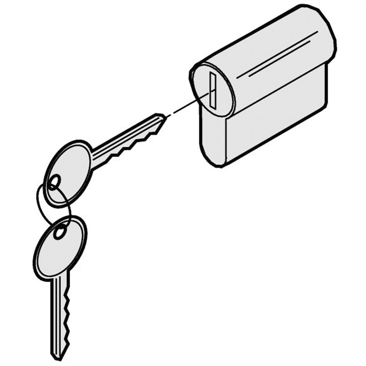 SCHROFF Varistar 19" Swing Frame Spare Part Key 333