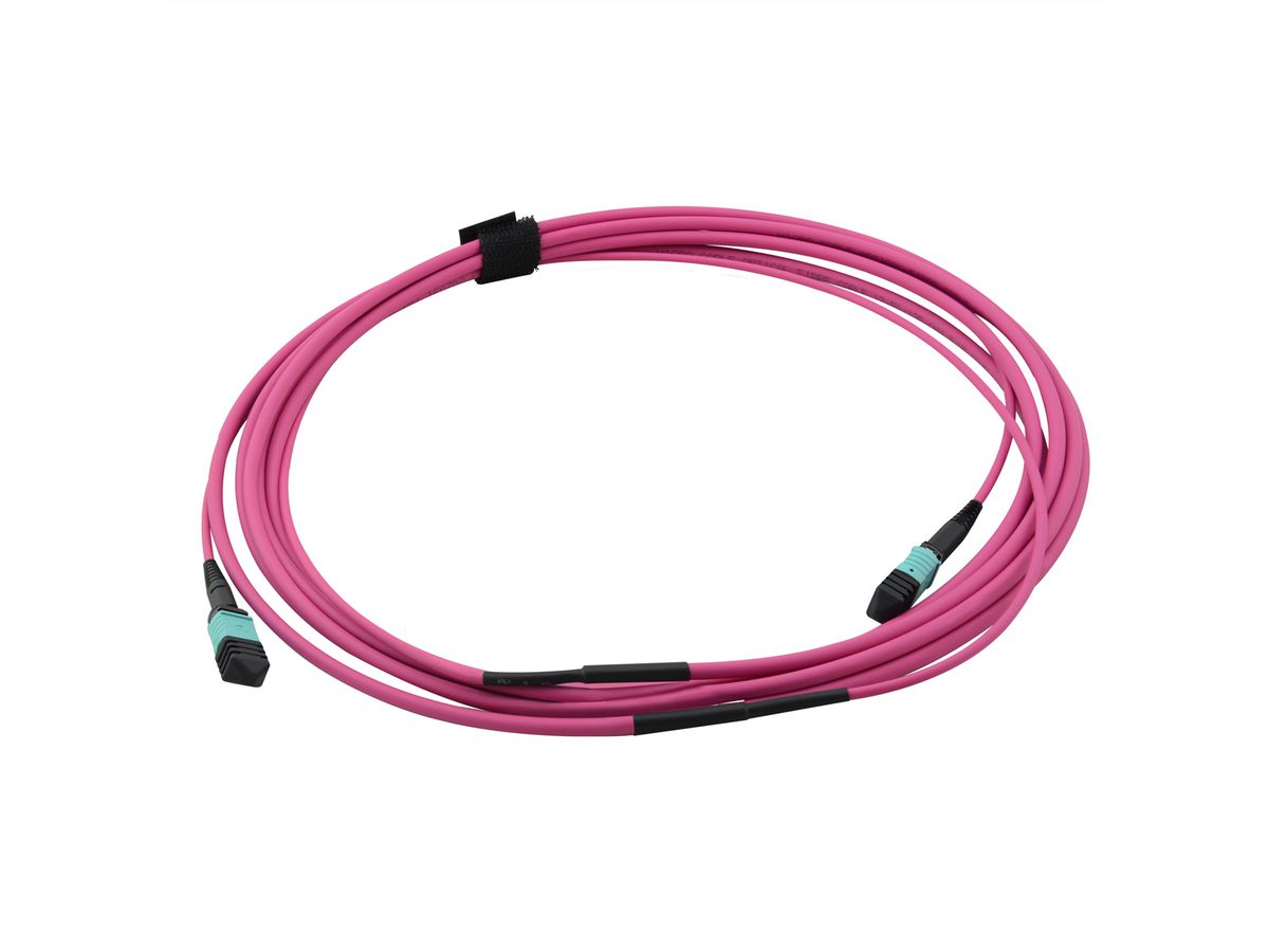 VALUE MPO Trunk Cable 50/125µm OM4, MPO/MPO, violet, 3 m