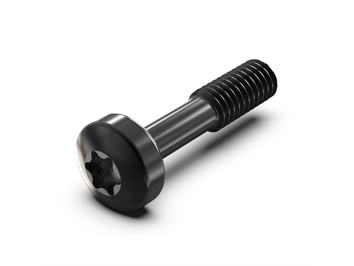 SCHROFF Kraagschroef, Torx M2,5 x 12,3 mm, staal zwart, 100 stuks