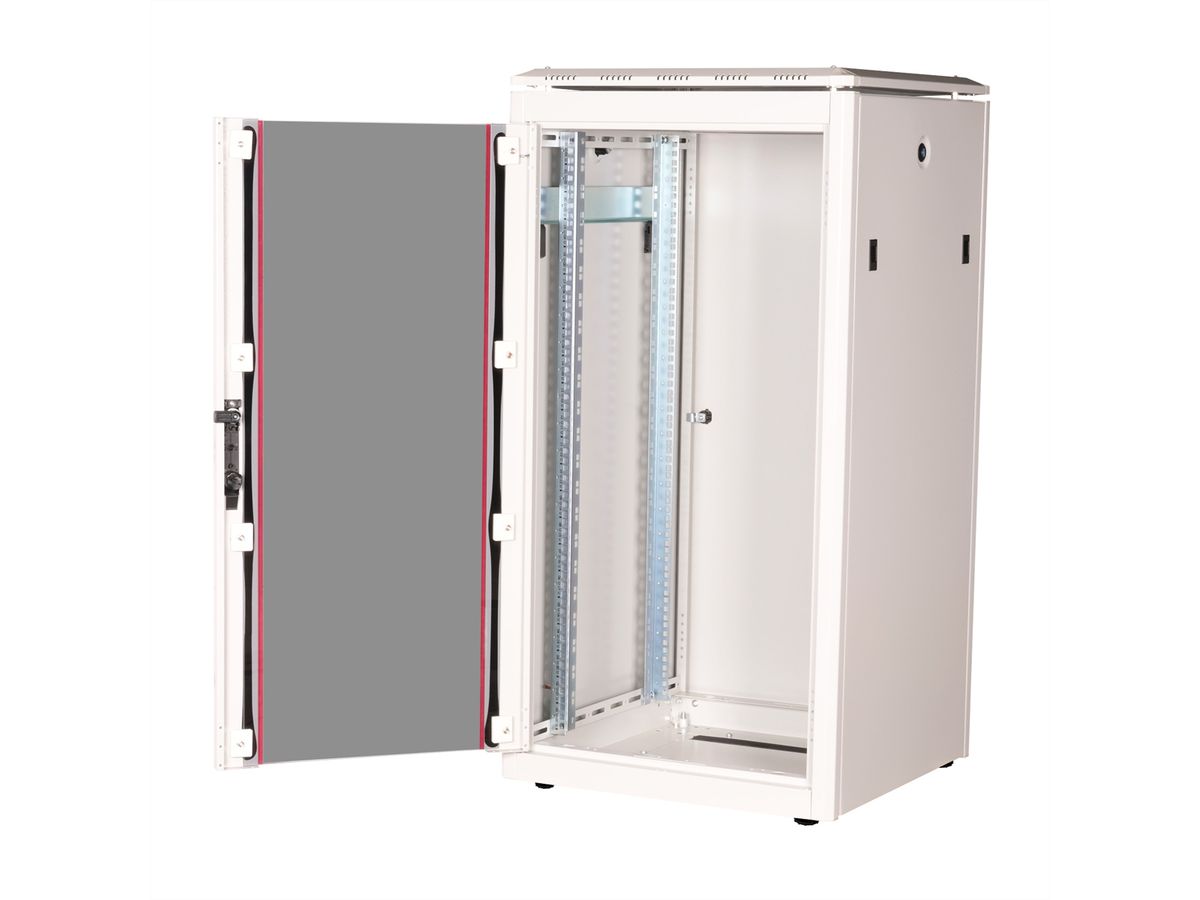 ROLINE 19-inch netwerkkast Pro 22 U, 600x600 BxD Glazen deur grijs