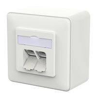 METZ CONNECT E-DAT C6A IDC Dose, 2 Port, AP, verkehrsweiß